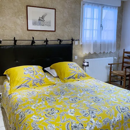 Appartement Douceur Balneaire Charme Et Quiétude Près Des Plages - L'olivier à Sur - Royan